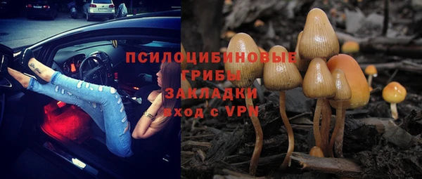 не бодяженный Нефтегорск