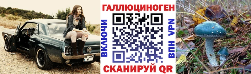 кракен онион Сальск это как зайти закладка Галлюциногенные грибы Psilocybe