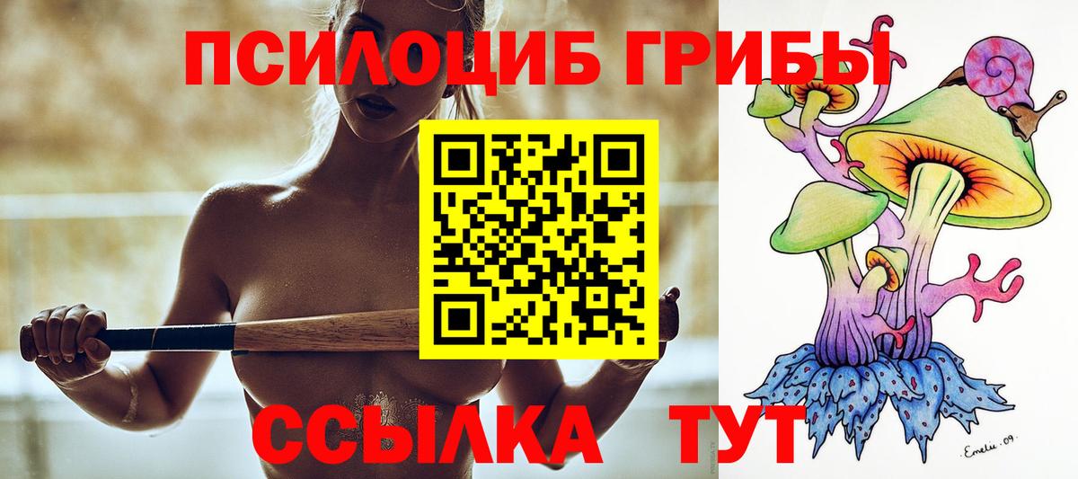 Псилоцибиновые грибы прущие грибы Сальск